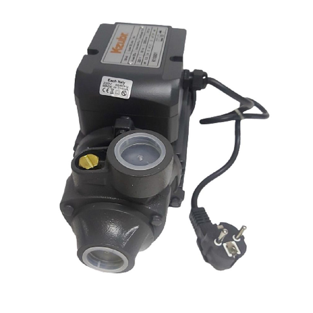 Elettropompa periferica autoclave 750 watt motore acqua elettro poma 1.0Hp 45 litri/min - enzoled