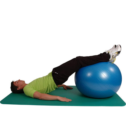 Palla fitness gonfiabile con pompa per esercizi di pilates yoga ginnastica preparto e equilibrio 65 e 74 cm - enzoled