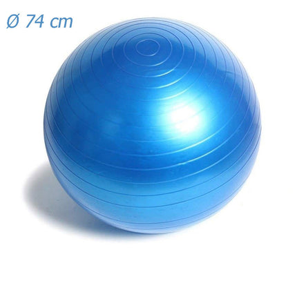 Palla fitness gonfiabile con pompa per esercizi di pilates yoga ginnastica preparto e equilibrio 65 e 74 cm - enzoled