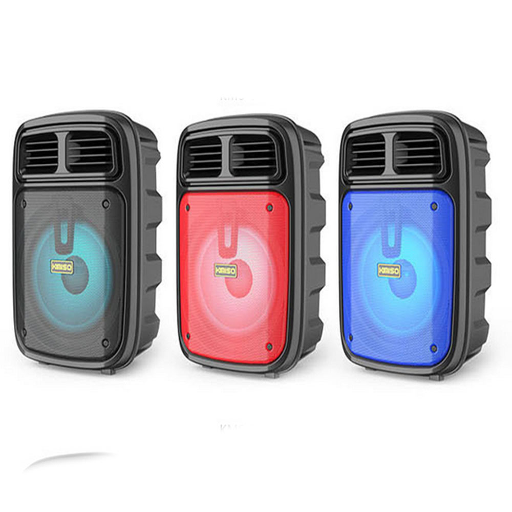 Cassa Karaoke bluetooth ricaricabile con microfono speaker con luci radio FM ingresso aux usb tg - enzoled