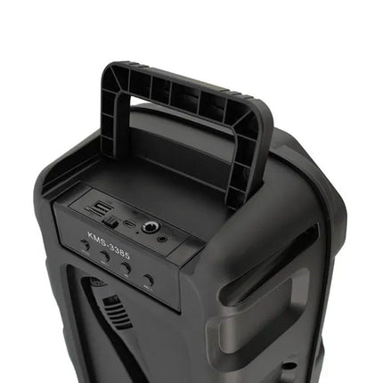 Cassa Karaoke bluetooth ricaricabile con microfono speaker con luci radio FM ingresso aux usb tg - enzoled