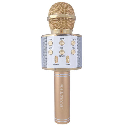 Microfono bluetooth karaoke con cassa speaker integrata altoparlante senza fili funzione REC Tf card usb ricaricabile - enzoled