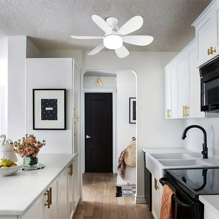 Lampadina E27 a led 19 watt tecnologia CCT 3 colorazioni di luce lampada ventilatore da 9 watt con telecomando 3 velocità - enzoled