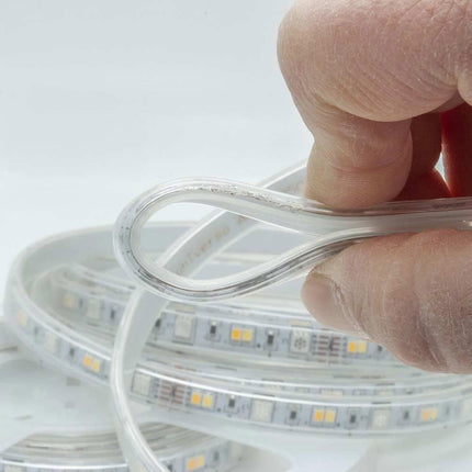 Strip led Smart rgb ww 5050 5 metri controllo app telecomando striscia led wi fi dimmerabile 12v - enzoled