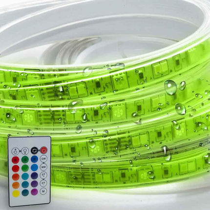 Strip led Smart rgb ww 5050 5 metri controllo app telecomando striscia led wi fi dimmerabile 12v - enzoled