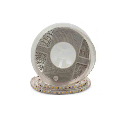 Striscia led 2835 strip bobina 10 metri 24 volt 1200 led smd luce fredda 6500k calda 3000k naturale 4000k ip20 - enzoled