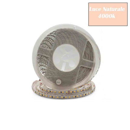 Striscia led 2835 strip bobina 10 metri 24 volt 1200 led smd luce fredda 6500k calda 3000k naturale 4000k ip20 - enzoled