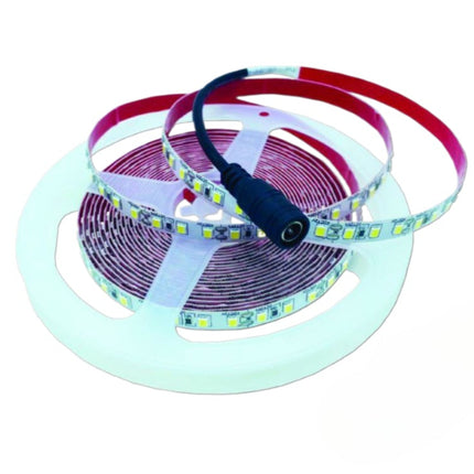 Strisce LED 12V 6500K (bianco freddo) - 5m 120 LED/m, 22Lm - PVC flessibile - Illuminazione a bassa tensione enzoled