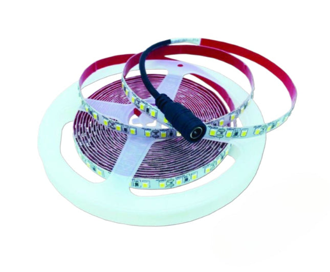 Strisce LED 12V 6500K (bianco freddo) - 5m 120 LED/m, 22Lm - PVC flessibile - Illuminazione a bassa tensione enzoled