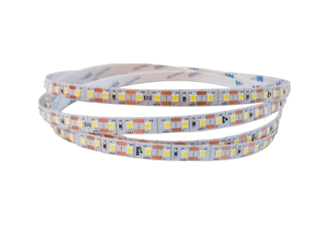 Strisce LED 24V 6500K (bianco freddo) - 5m 120 LED/m, PVC flessibile - Illuminazione a luce fredda enzoled