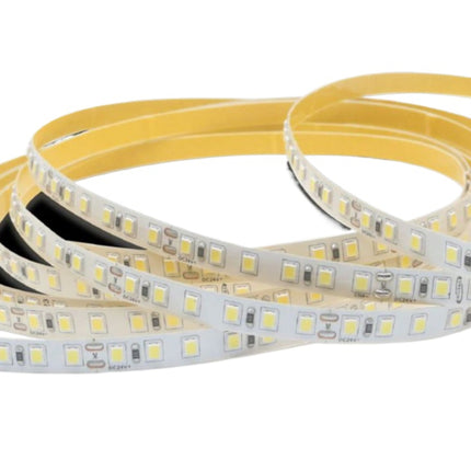 Strisce LED 24V 6500K (bianco freddo) - 50m 120 LED/m, PVC nudo - Fascia continua professionale enzoled