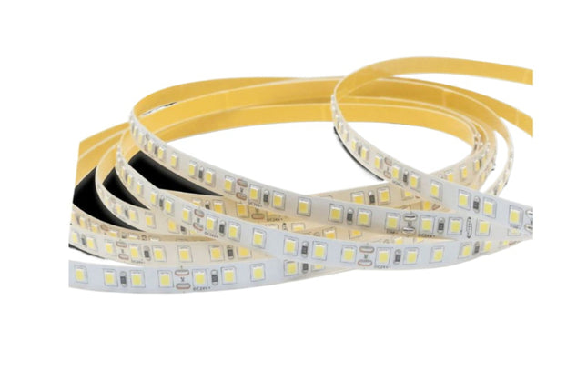 Strisce LED 24V 6500K (bianco freddo) - 50m 120 LED/m, PVC nudo - Fascia continua professionale enzoled