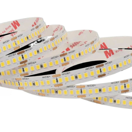 Strisce LED 24V 3000K (luce calda) - 50m 240 LED/m, PVC nudo - 21W/m alta densità enzoled