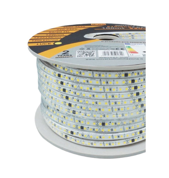 Strisce LED alta tensione 10cm taglio senza fili viola - 100m 120 LED/m, PVC 8mm - 20 spine per installazione professionale enzoled
