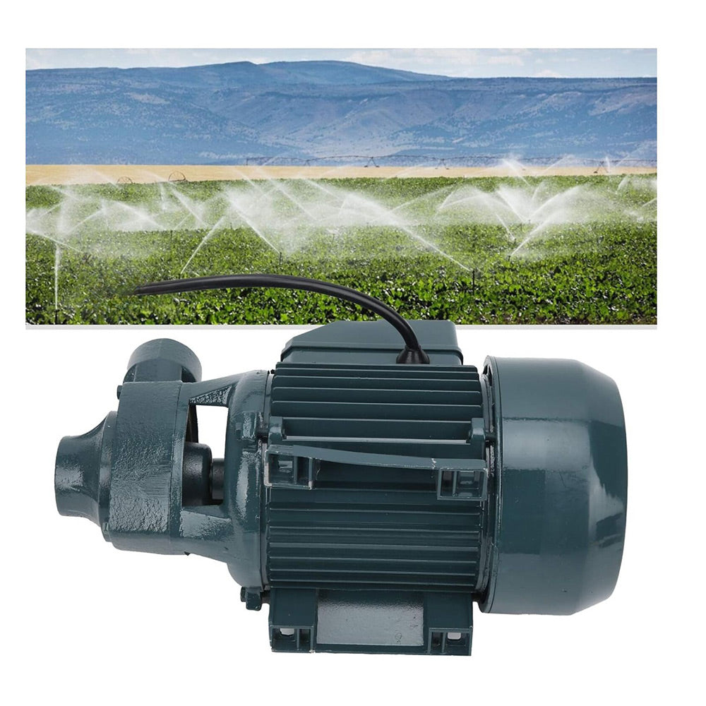 Elettropompa periferica autoclave 750 watt motore acqua elettro poma 1.0Hp 45 litri/min - enzoled