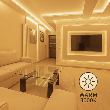 Striscia strip led 1MT interno esterno 12W 220v 6500k 4000k 3000k IP65 enzoled