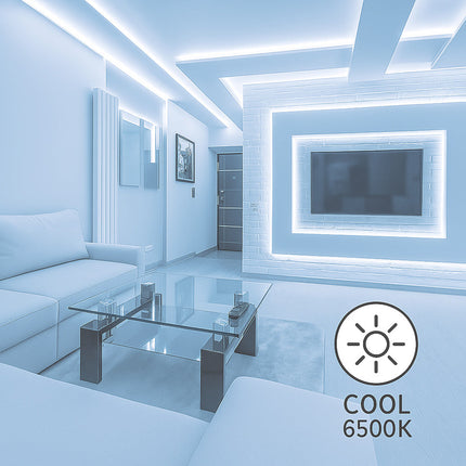 Striscia strip led 1MT interno esterno 12W 220v 6500k 4000k 3000k IP65 enzoled