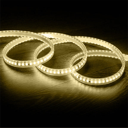 Striscia strip led 1MT interno esterno 12W 220v 6500k 4000k 3000k IP65 enzoled