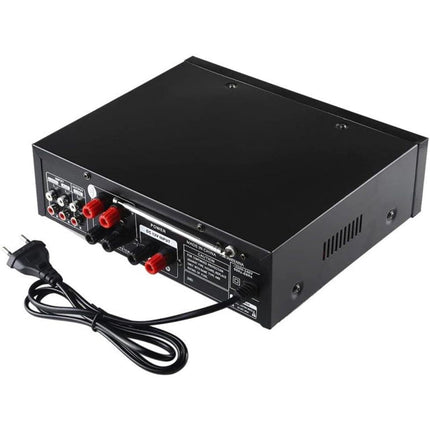 Amplificatore bluetooth karaoke 2 ingressi microfono FM telecomando