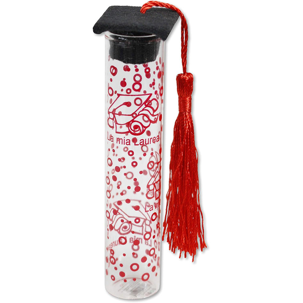 Bomboniere laurea portaconfetti 12 pezzi cappello laurea dottore vetro tappo di sughero nappa tocco - enzoled