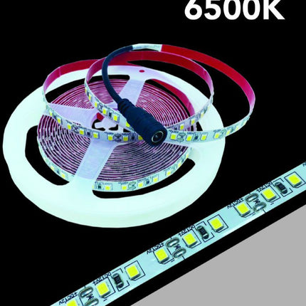 Strisce LED 12V 6500K (bianco freddo) - 5m 120 LED/m, 22Lm - PVC flessibile - Illuminazione a bassa tensione enzoled