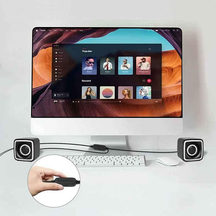Coppia Casse audio Speaker con luci RGB per pc notebook smartphone usb 2.0 aux jack 3.5 mm - enzoled