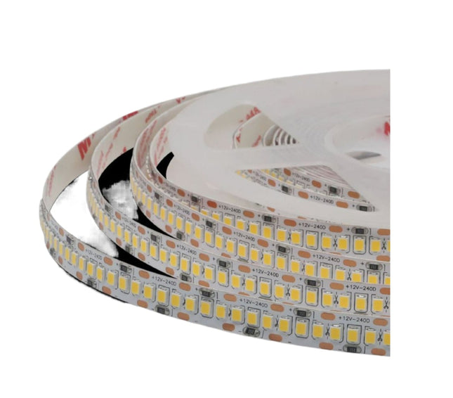 Strisce LED 12V 6500K (bianco freddo) - 240 LED/m, PVC nudo - Fascia continua ad alta densità enzoled