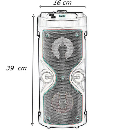 Cassa ricaricabile bluetooth con luci a led casse karaoke con microfono tracolla usb sd radio FM - enzoled