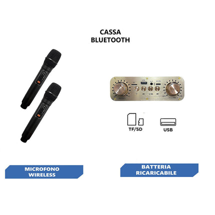 Cassa karaoke bluetooth ricaricabile con 2 microfoni wireless radio FM ingresso USB SD con luci - enzoled