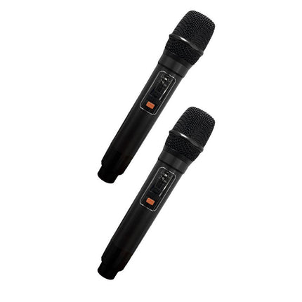 Cassa karaoke bluetooth ricaricabile con 2 microfoni wireless radio FM ingresso USB SD con luci - enzoled