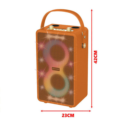 Cassa karaoke bluetooth ricaricabile con 2 microfoni wireless radio FM ingresso USB SD con luci - enzoled