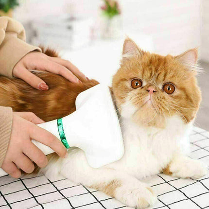 Spazzola phon elettrica pe cani e gatti asciugacapelli tre potenze toelettatura per animali domestici - enzoled