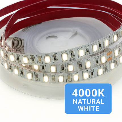 Striscia led 2835 strip 5 metri bobina adesiva 600 led IP55 enzoled
