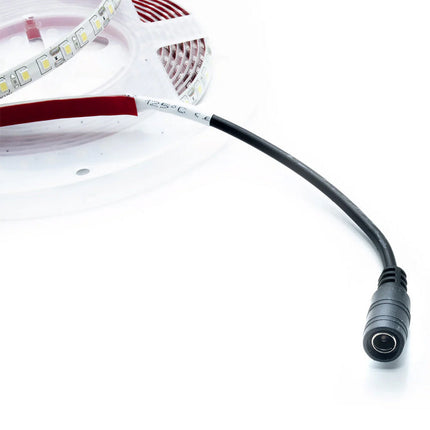 Striscia led 2835 strip 5 metri bobina adesiva 600 led IP55 enzoled