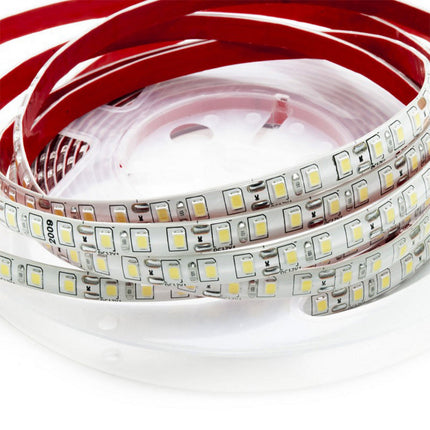 Striscia led 2835 strip 5 metri bobina adesiva 600 led IP55 enzoled