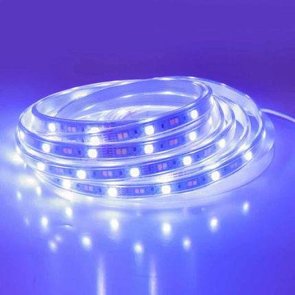 Strip led Smart rgb ww 5050 5 metri controllo app telecomando striscia led wi fi dimmerabile 12v - enzoled