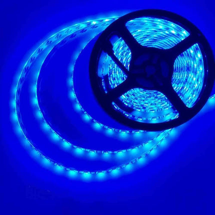 Striscia led 2835 strip flessibile da 5 metri bobina strip led adesiva 600 led smd luce blu - enzoled