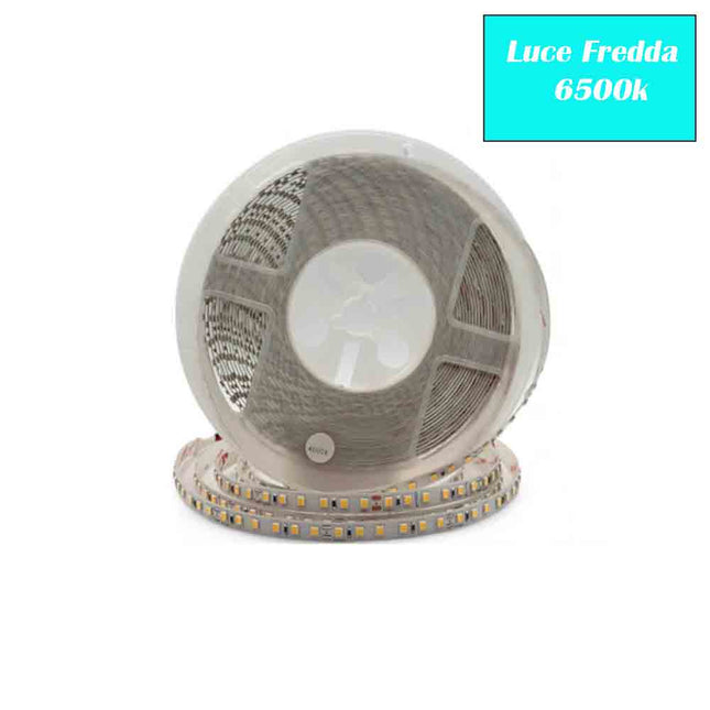 Striscia led 2835 strip bobina 10 metri 24 volt 1200 led smd luce fredda 6500k calda 3000k naturale 4000k ip20 - enzoled
