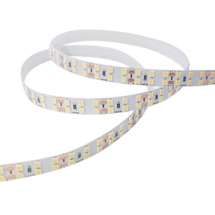 Striscia strip 2400 led 2835 24V bobina 10 metri 160 watt illuminazione per interni luce fredda calda naturale - enzoled