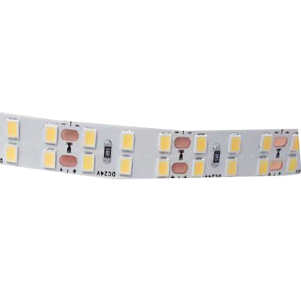 Striscia strip 2400 led 2835 24V bobina 10 metri 160 watt illuminazione per interni luce fredda calda naturale - enzoled