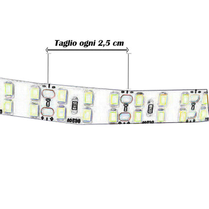 Striscia strip 2400 led 2835 24V bobina 10 metri 160 watt illuminazione per interni luce fredda calda naturale - enzoled